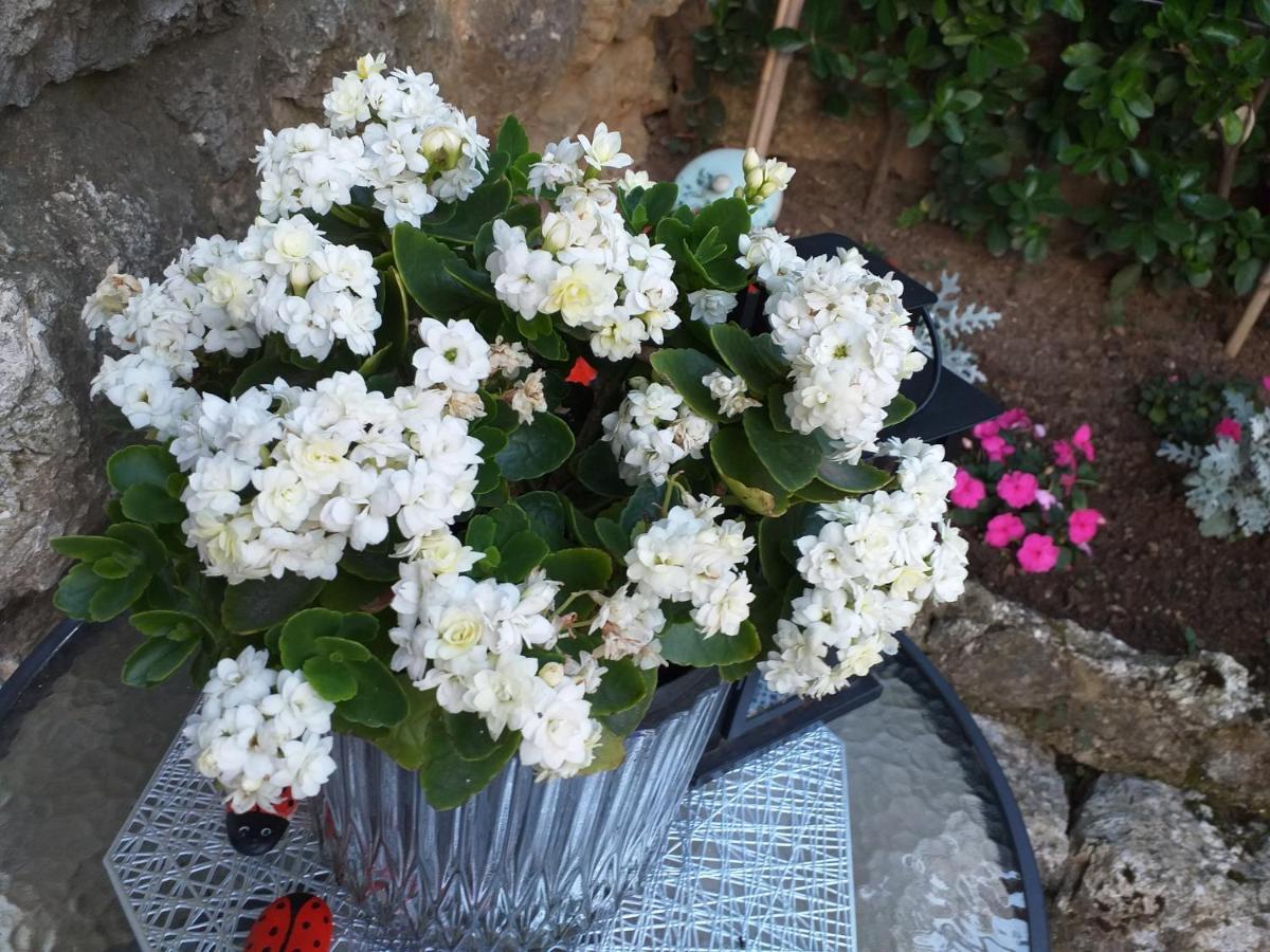 Luna Opatija
